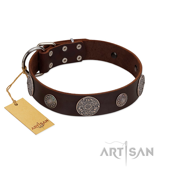 Studded full grain genuine leather collar for your stylish pet