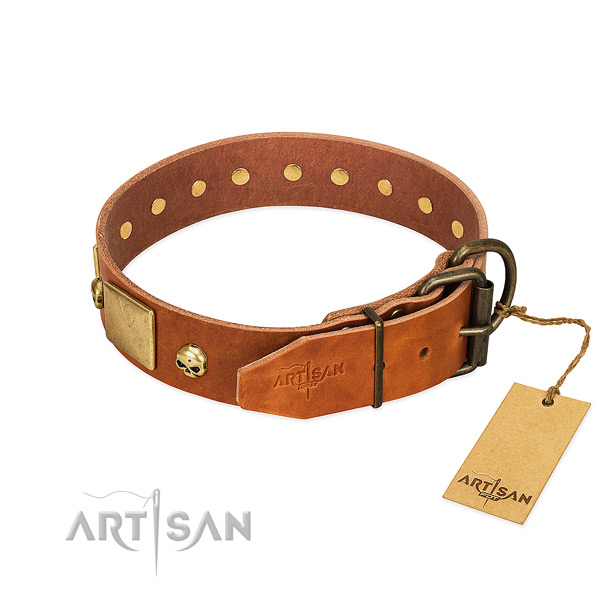High quality leather dog collar with rust resistant decorations
