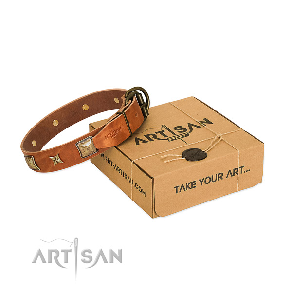 Comfortable full grain leather collar for your attractive canine