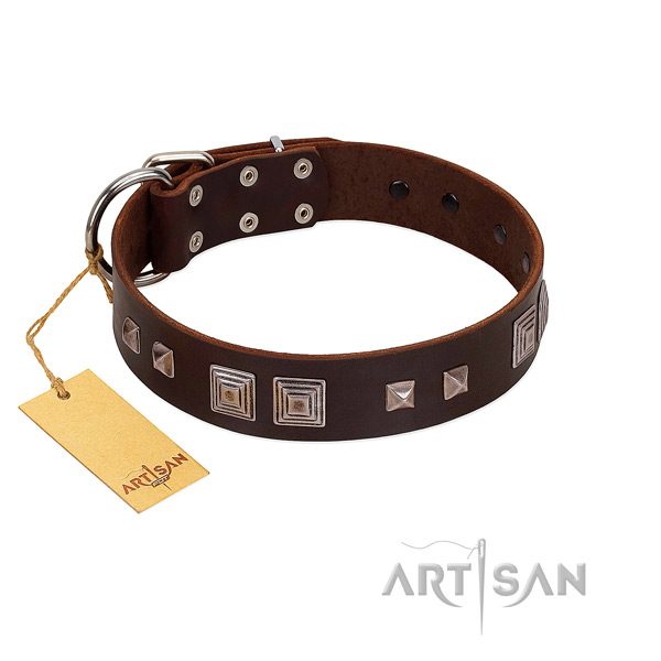 Reliable D-ring on full grain genuine leather dog collar for basic training