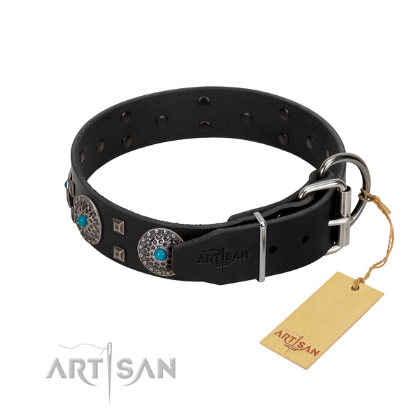 Soft full grain natural leather dog collar with adornments for everyday use