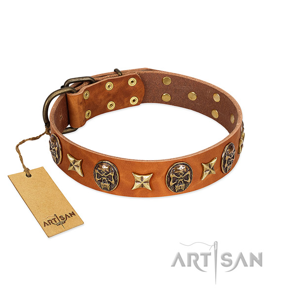 Unique full grain natural leather collar for your four-legged friend