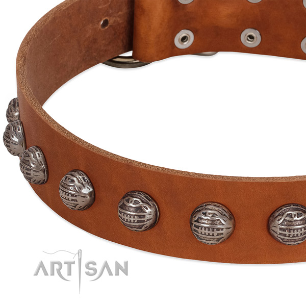 Designer leather dog collar with durable embellishments