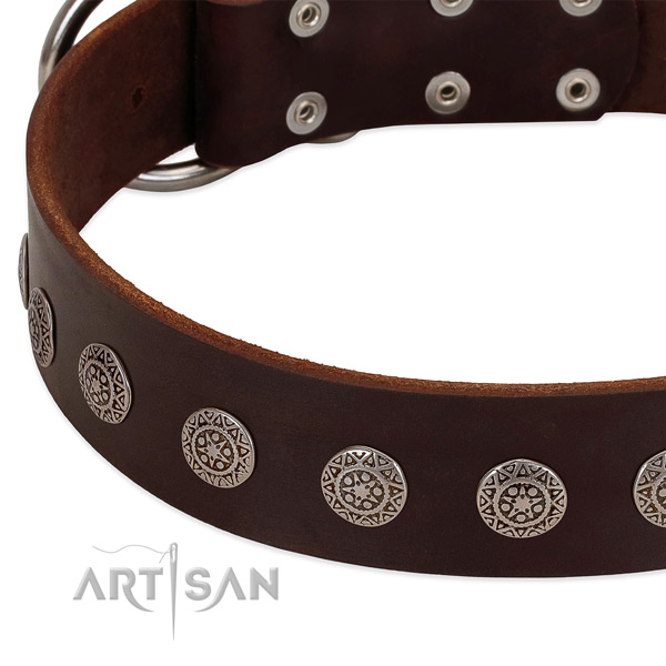 Stunning dog collar of leather with decorations
