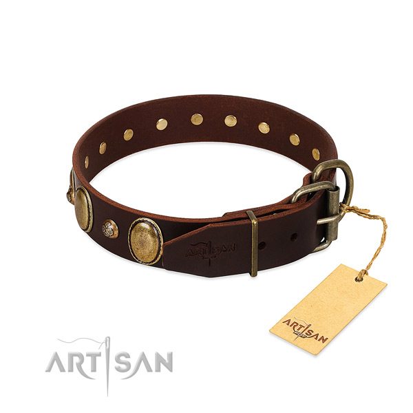 Reliable traditional buckle on leather collar for stylish walking your pet