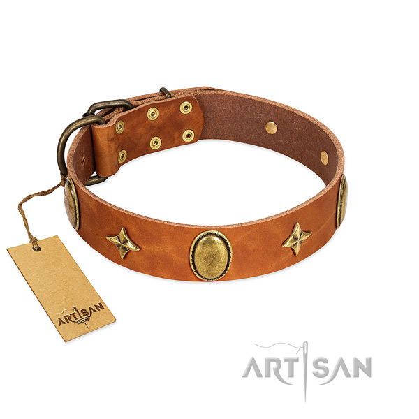 Flexible full grain leather dog collar with rust-proof studs