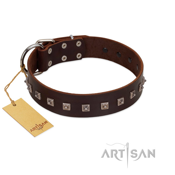 Designer embellished leather dog collar