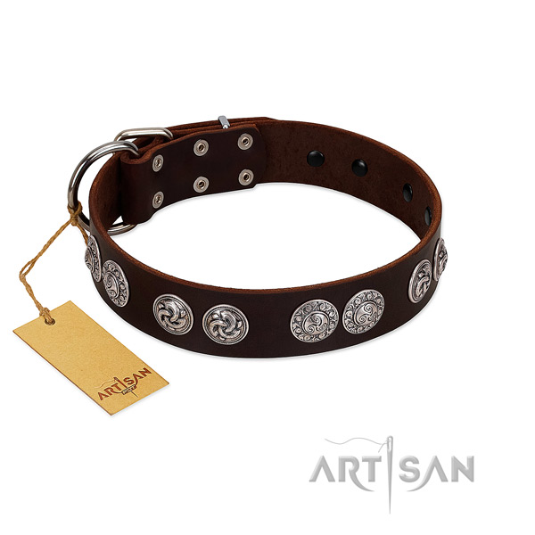 Significant leather collar for your canine walking