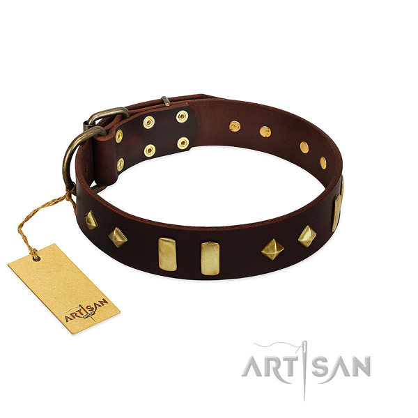 Natural leather dog collar with rust resistant fittings for handy use