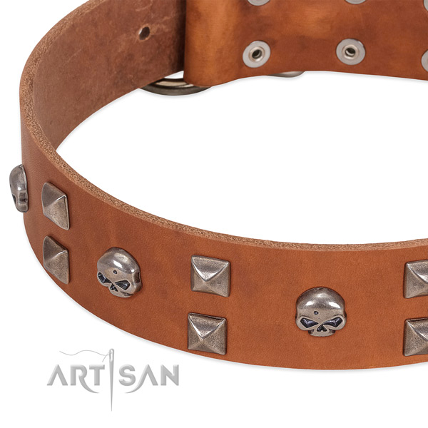 Quality natural leather dog collar created for your canine