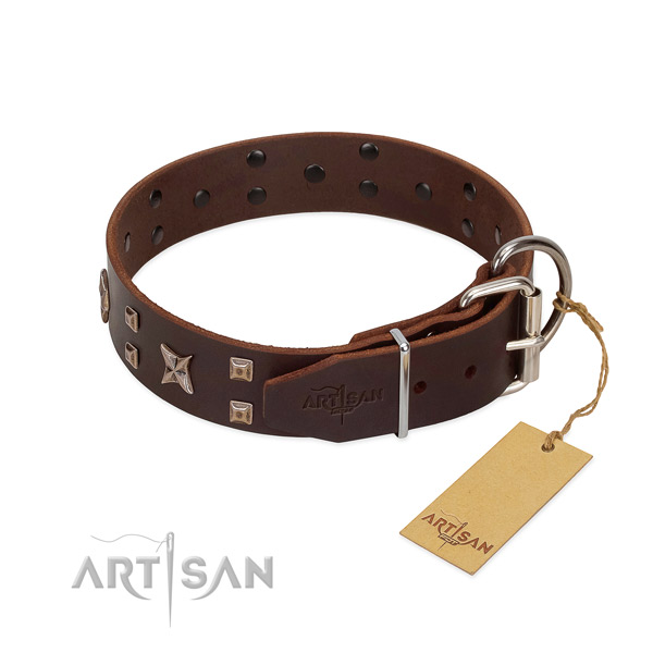 Full grain leather dog collar with impressive decorations