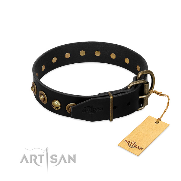 Full grain natural leather collar with stylish embellishments for your four-legged friend