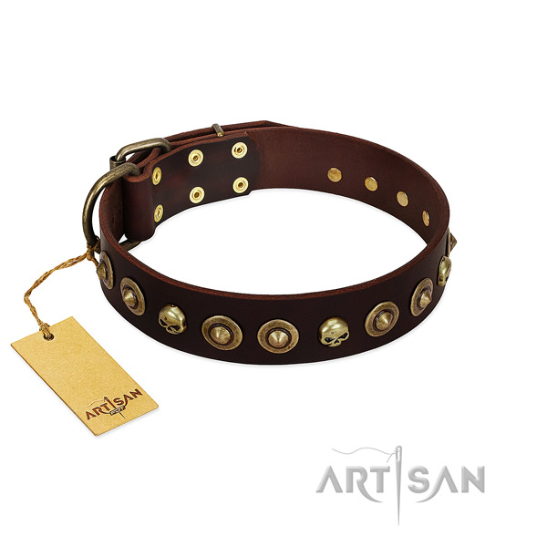 Natural leather collar with trendy embellishments for your canine