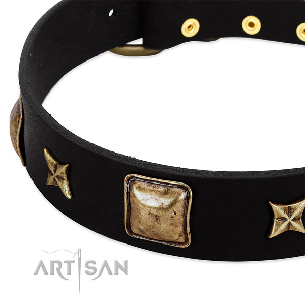 Genuine leather dog collar with remarkable adornments