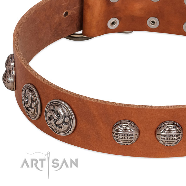 Corrosion resistant D-ring on natural genuine leather collar for fancy walking your canine