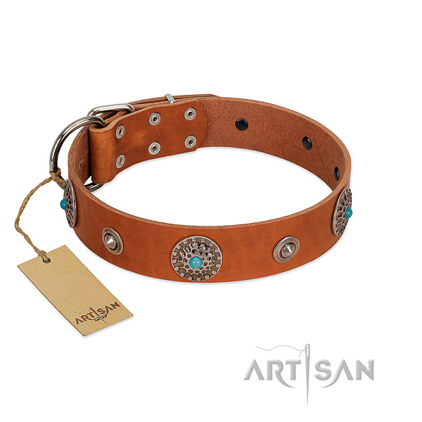 Embellished full grain leather dog collar with durable buckle