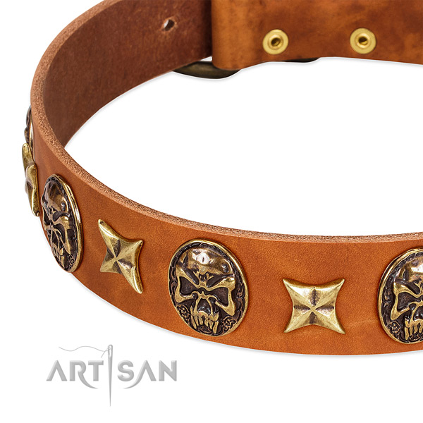 Rust resistant embellishments on natural genuine leather dog collar for your four-legged friend