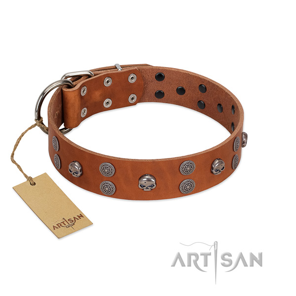 Quality natural leather dog collar with studs for easy wearing