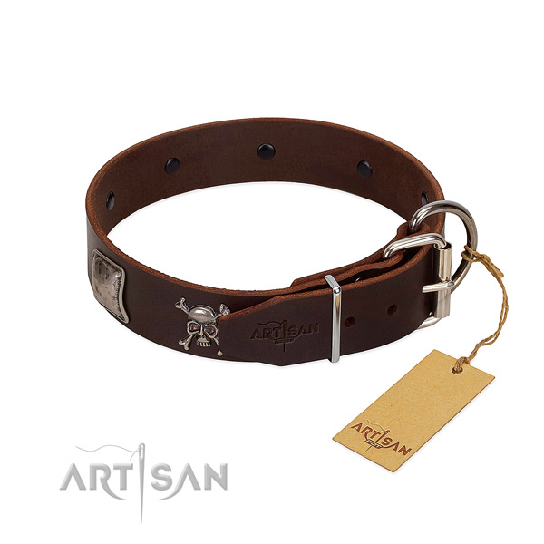 Amazing genuine leather collar for your impressive doggie