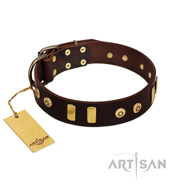 Genuine leather dog collar with top notch adornments for handy use