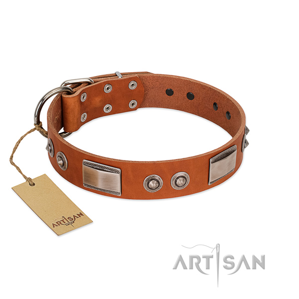 Remarkable leather collar with studs for your pet
