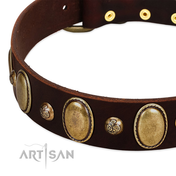 Natural leather dog collar with top notch decorations