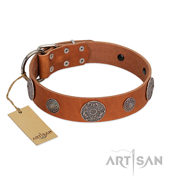 Easy to adjust genuine leather collar for your attractive canine