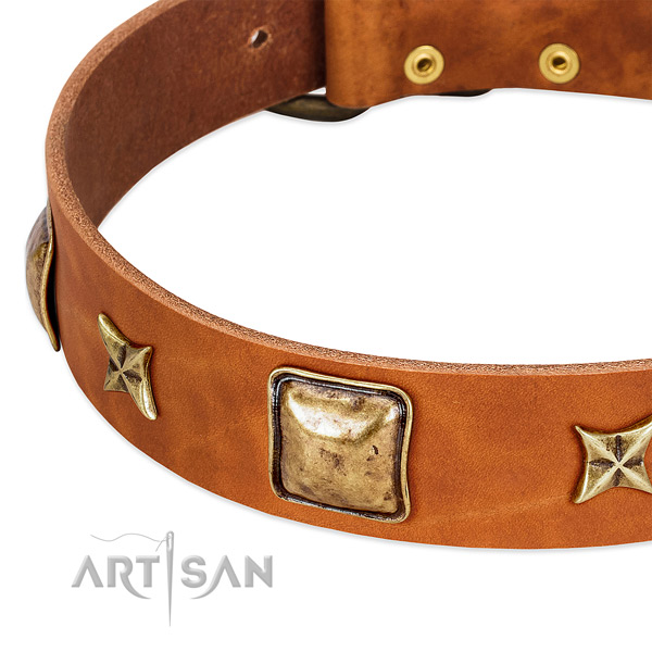 Corrosion resistant decorations on natural genuine leather dog collar for your pet