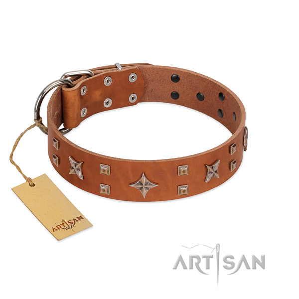 Designer full grain genuine leather dog collar with rust resistant adornments