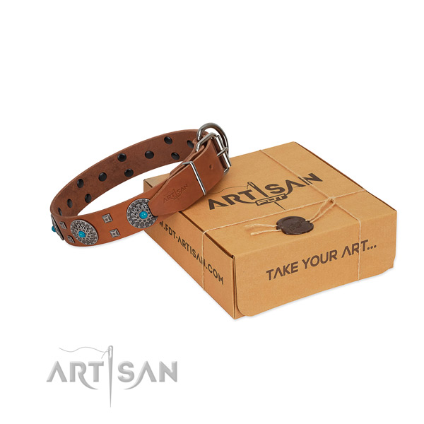 Comfortable wearing full grain genuine leather dog collar with incredible adornments