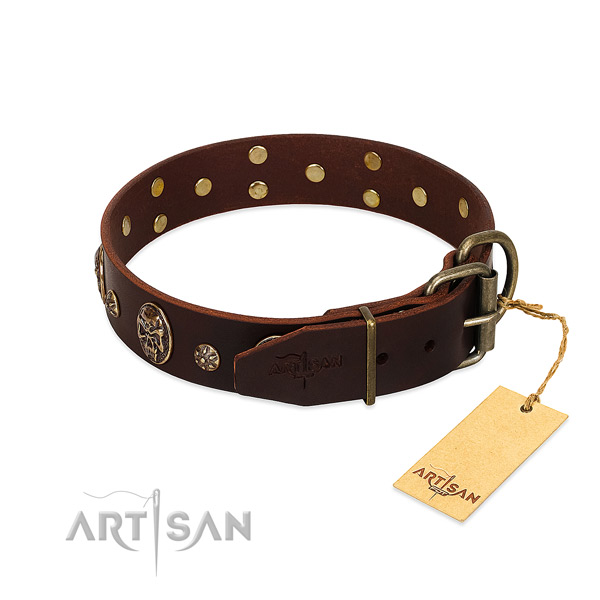 Reliable studs on full grain genuine leather dog collar for your doggie