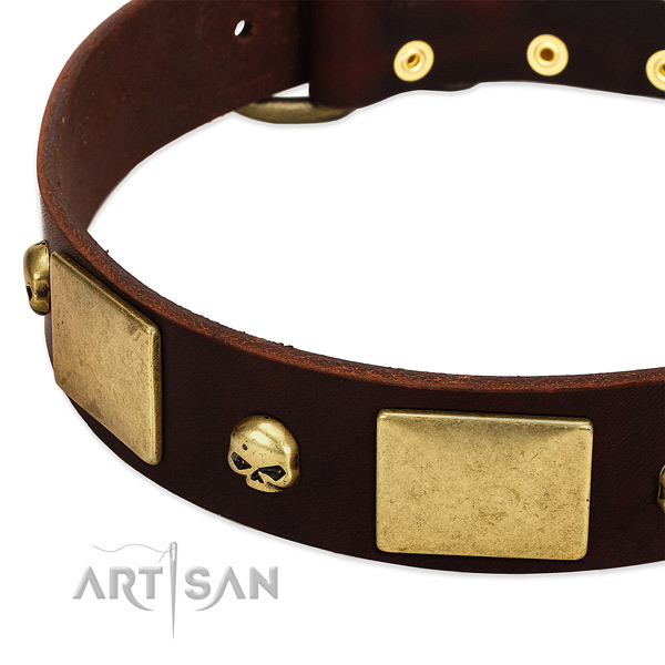 Soft natural leather collar with rust-proof adornments for your canine
