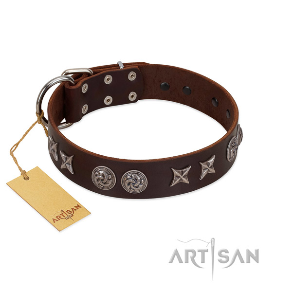 Handmade genuine leather dog collar for stylish walking