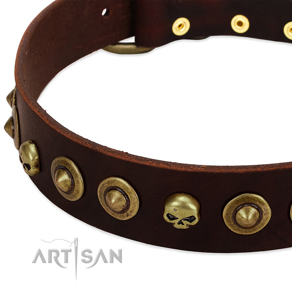 Remarkable embellishments on full grain leather collar for your doggie