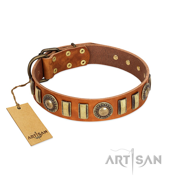Quality natural leather dog collar with reliable D-ring