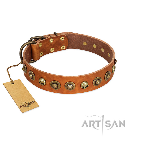 Full grain leather collar with inimitable studs for your doggie