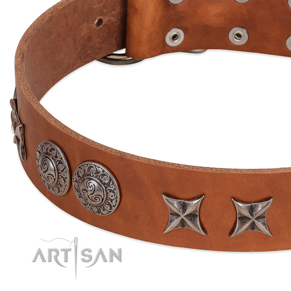 Adorned leather dog collar with rust resistant buckle