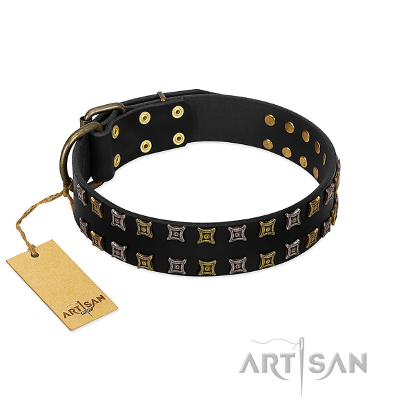 High quality leather dog collar with adornments for your four-legged friend