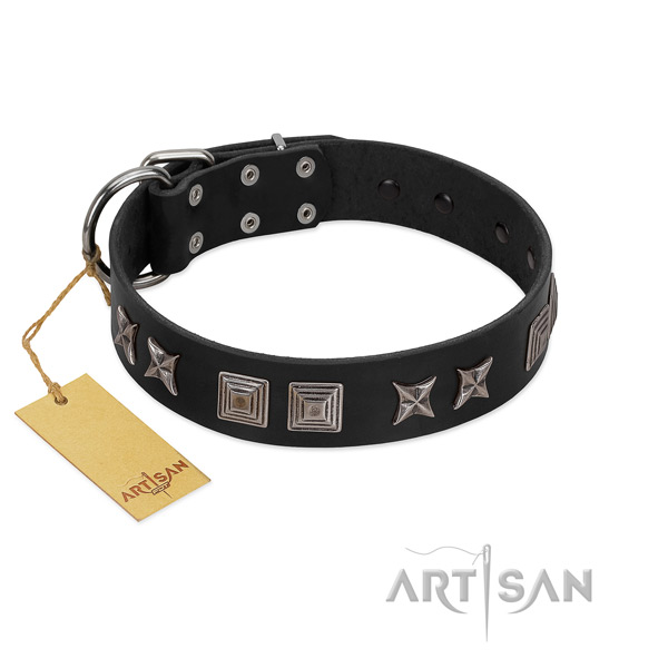 Leather dog collar with amazing embellishments handmade canine