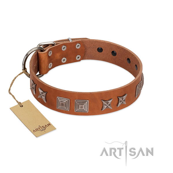 Genuine leather dog collar with extraordinary adornments made canine