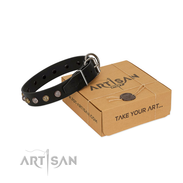 Rust resistant buckle on genuine leather dog collar for stylish walking