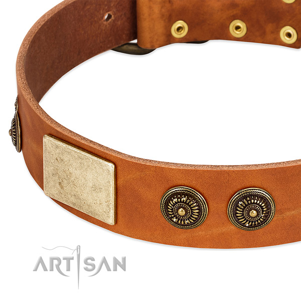 Exceptional dog collar handmade for your impressive dog