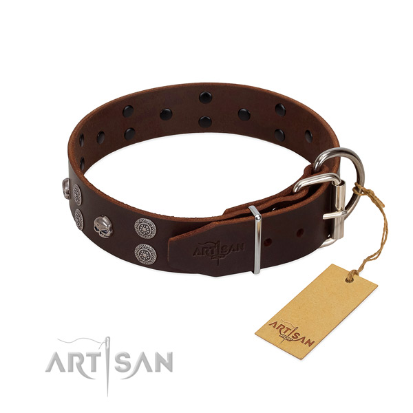Quality natural leather dog collar with studs for daily use