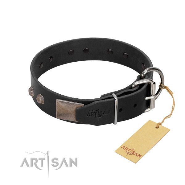Exceptional genuine leather dog collar for everyday walking your doggie