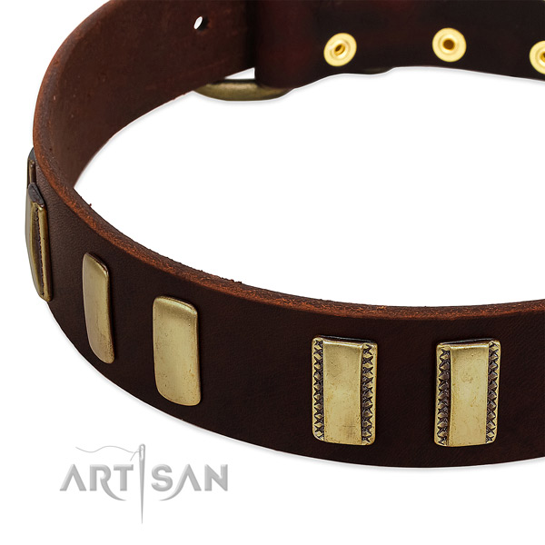 Full grain genuine leather dog collar with durable hardware for walking