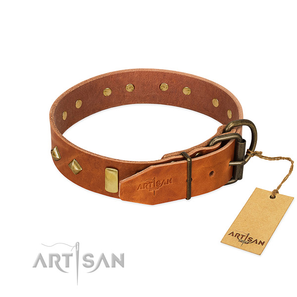 Daily use genuine leather dog collar with designer studs