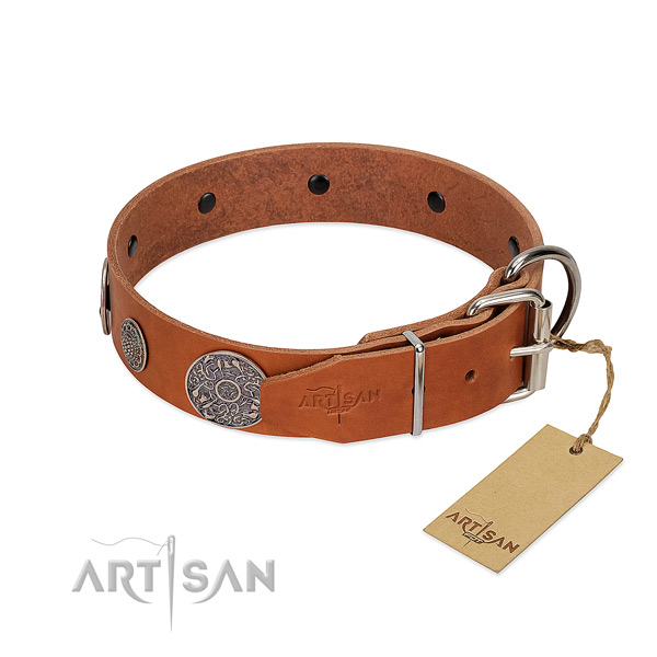 Handcrafted genuine leather collar for your attractive four-legged friend