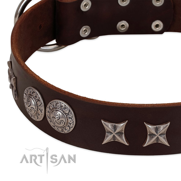 Incredible leather dog collar with reliable buckle