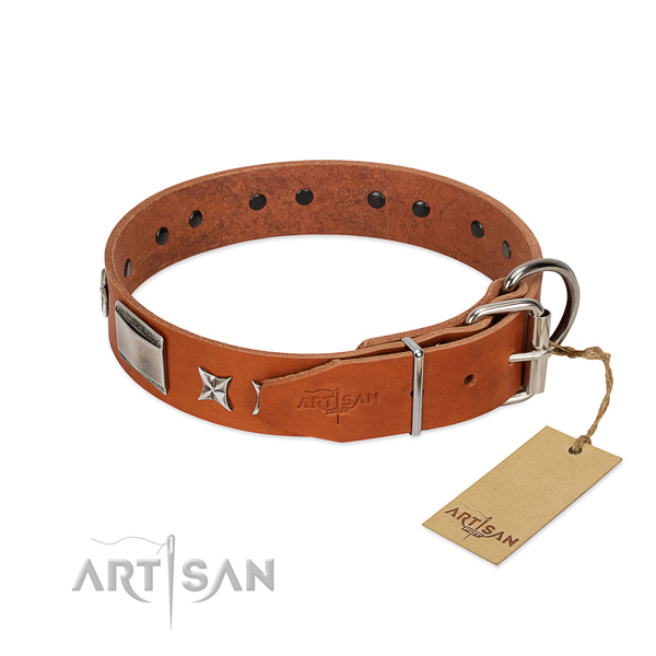 Studded dog collar of natural leather
