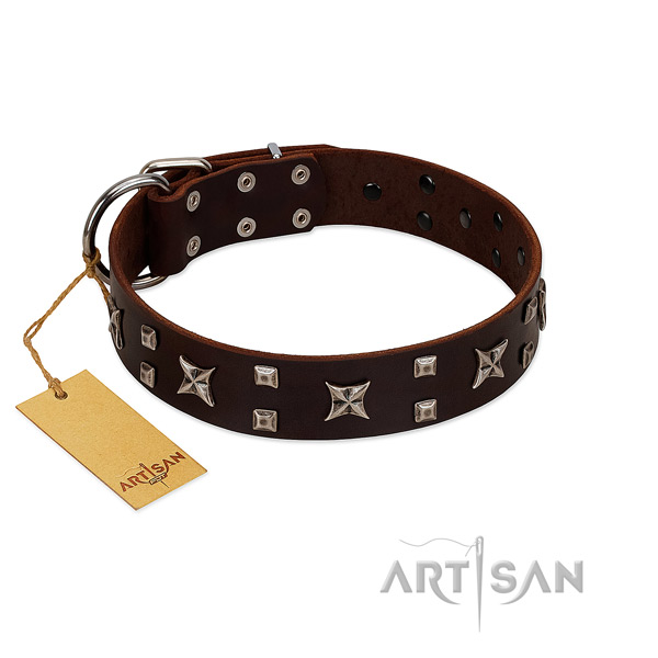 Reliable full grain natural leather dog collar with embellishments for stylish walking